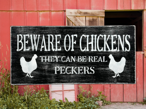 black and white distressed sign that reads "beware of chickens, they can be real peckers"