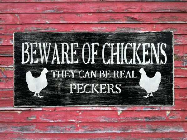 black and white distressed sign that reads "beware of chickens, they can be real peckers"