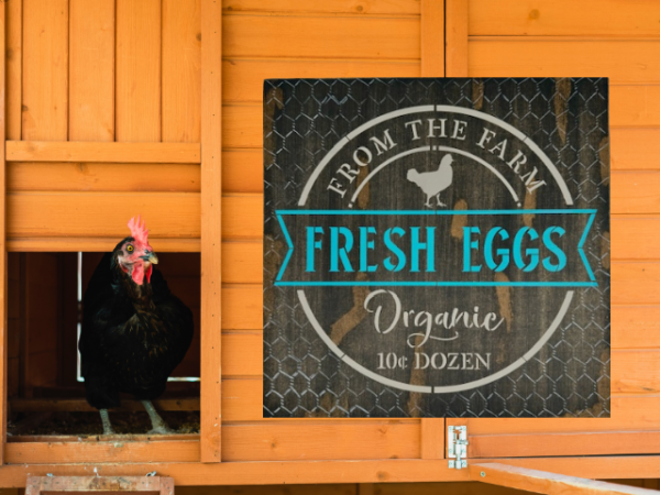 brown rustic and distressed sign with vibrant teal and tan lettering - sign says Fresh Eggs from the Farm