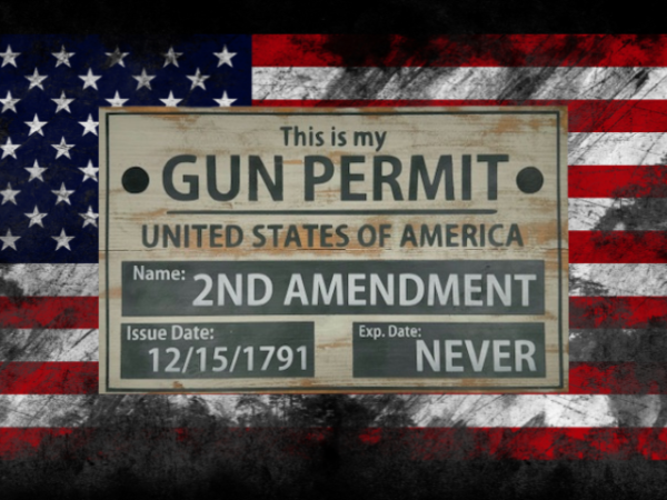 beautiful vintage sign made of 2 cedar fence picket boards that reads "This is my Gun Permit" - distressed creamy background with gray lettering