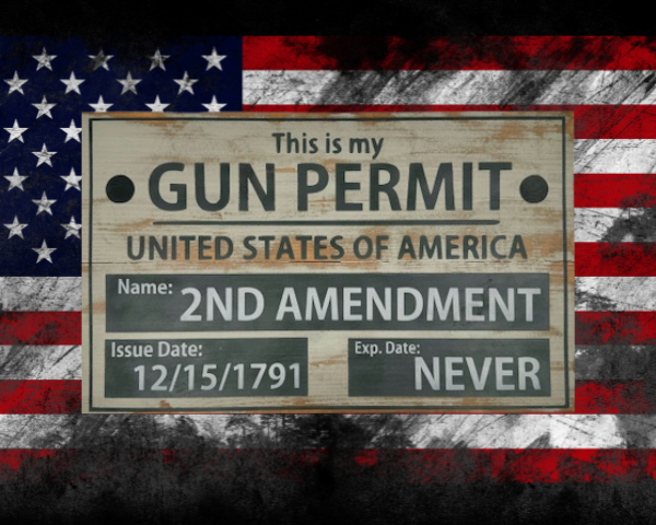 beautiful vintage sign made of 2 cedar fence picket boards that reads "This is my Gun Permit" - distressed creamy background with gray lettering